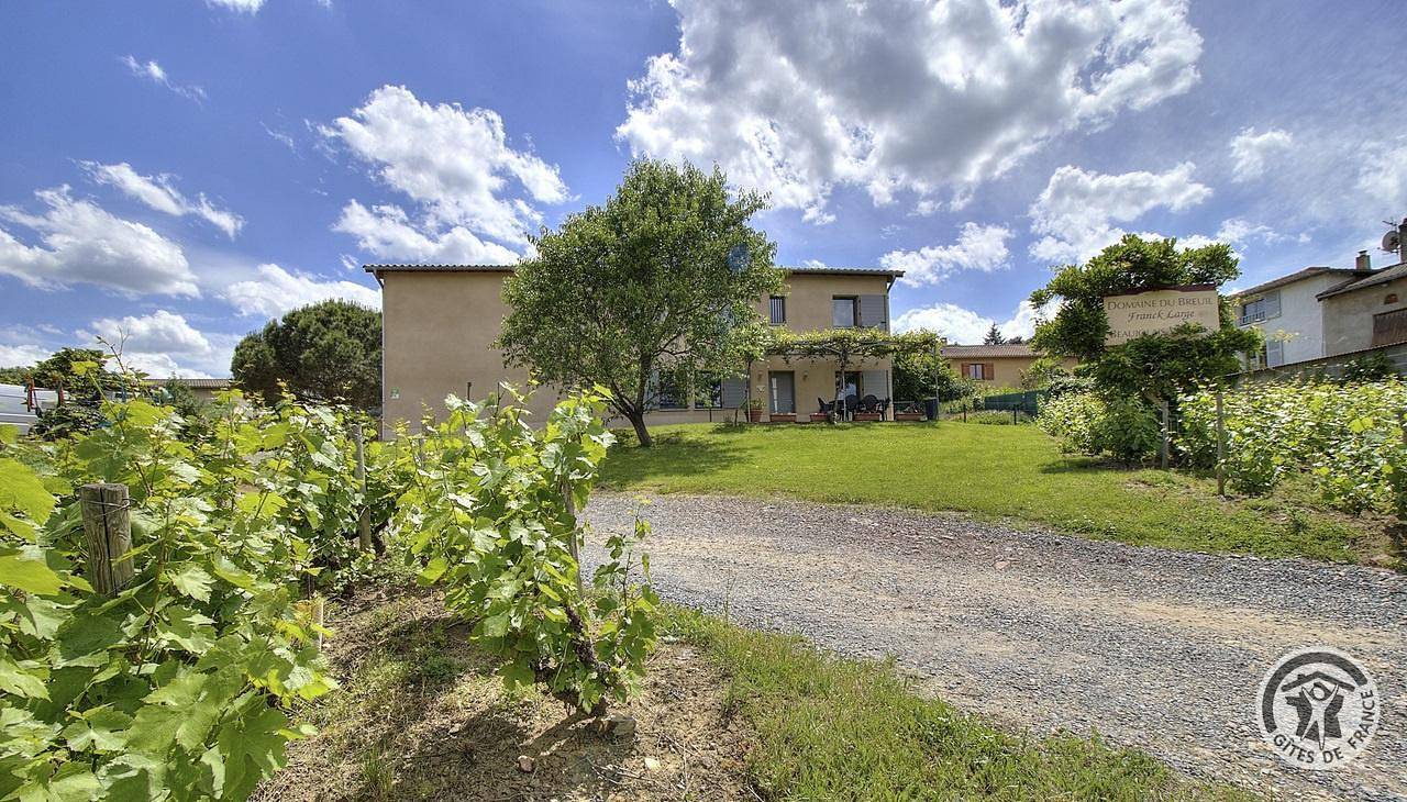 Gîte l'Amandier in Salles-Arbuissonnas-en-Beaujolais, Beaujolais