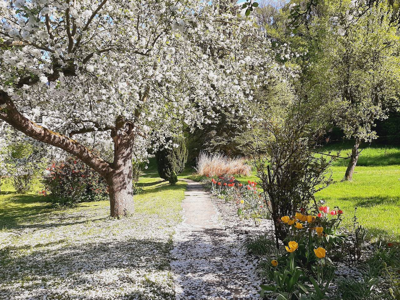 Die Malche Gäste und Tagungshaus 26 in Bad Freienwalde, Märkische Schweiz-Oderland