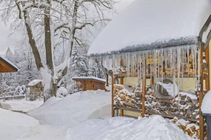 Ganze Wohnung, Fewo Geisingberg, gemütliche Ferienwohnung in Waldidylle in Altenberg, Osterzgebirge
