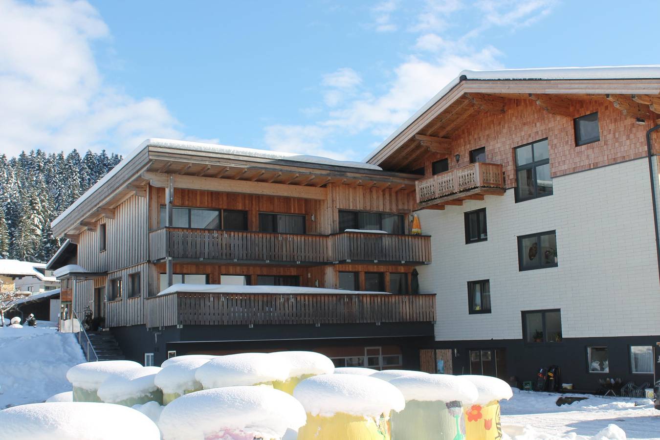 Ganze Ferienwohnung, Apartment/2 Schlafräume/Dusche, Wc, Arlstein in Abtenau, Tennengau