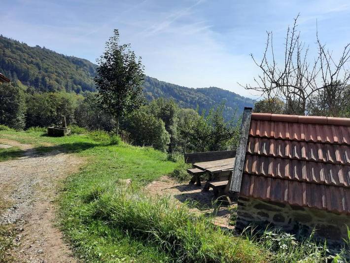 Ferienhaus für 14 Personen, mit Ausblick und Balkon sowie Garten in Landkreis Straubing-Bogen - 3