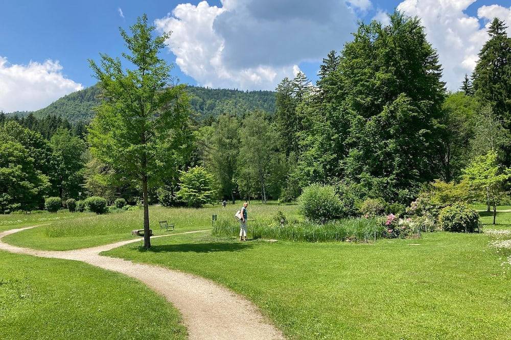 Claudia in Karawanken und Bachergebirge, Feistritz im Rosental