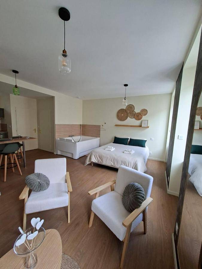 Gîte pour 2 personnes, avec jacuzzi à Feurs - 4