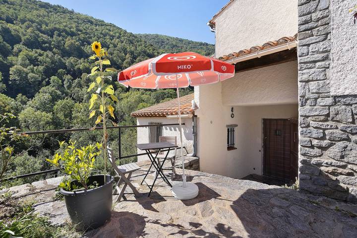 Hel lejlighed, "La Roussette" Apartment with Wi-Fi and Air Conditioning in Prats-de-Mollo-la-Preste, Céret Området
