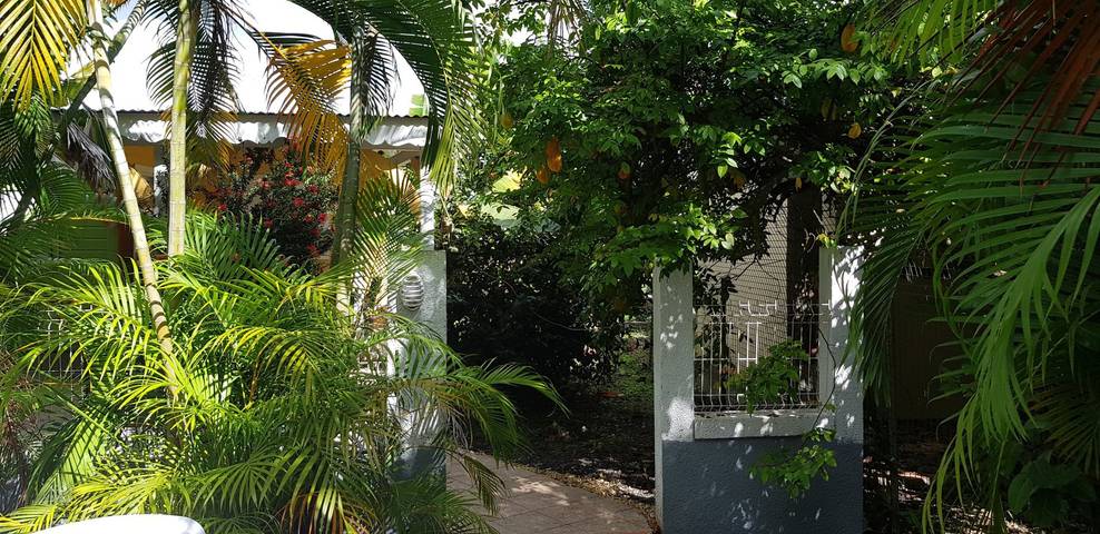 Villa pour 4 personnes, avec jardin ainsi que terrasse et piscine aux Antilles - 4