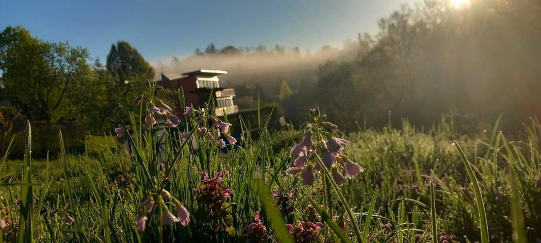 Camping für 2 Personen, mit Garten und Ausblick in der Steiermark - 2