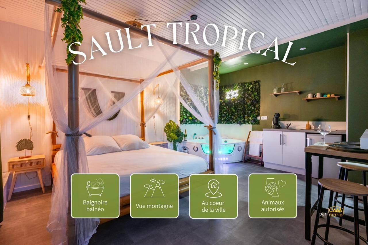 Appartement entier, Sault Tropical - Idéal couple - Balnéo Led - Vue parc & montagne - Wifi - Stationnement gratuit - 5min à pied des bars, restaurants & commerces in Sault, Parc naturel régional du Mont-Ventoux