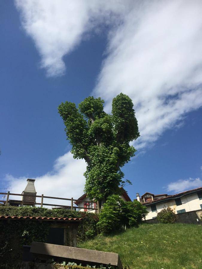Maison d’hôte pour 2 personnes, avec terrasse et vue en Navarre - 2
