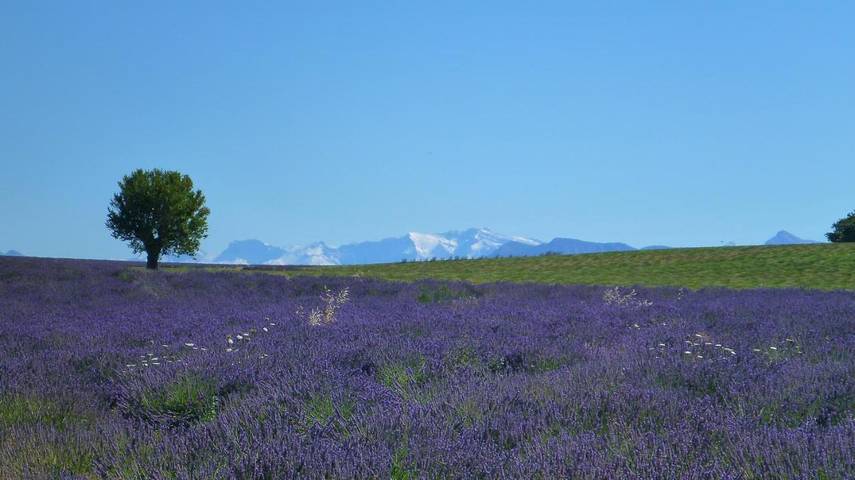 Chambre d’hôte pour 2 personnes, avec vue à Valensole - 3