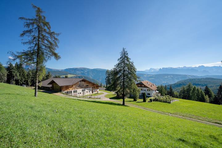 Ferienwohnung für 5 Personen, mit Garten - 1