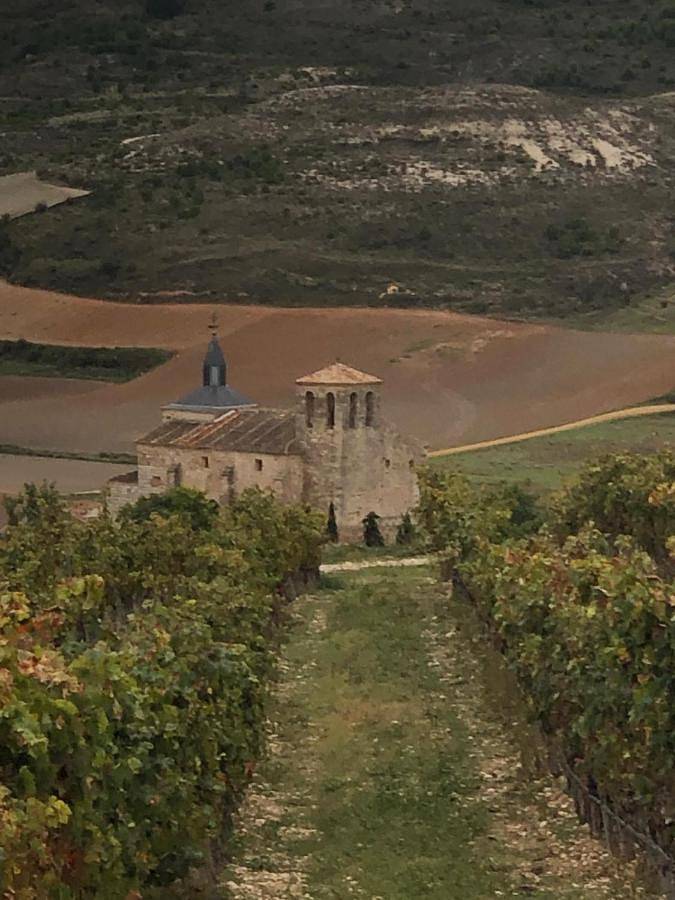 Casa de vacaciones para 8 personas, con vistas y jardín, Se admiten mascotas en Campo de Peñafiel - 3