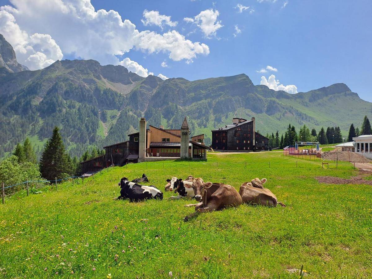 Appartamento intero, Valles Vacanze - ski in & ski out in Falcade, Dolomiti Superski