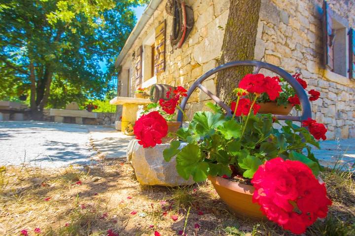Ferienhaus für 2 Personen, mit Balkon/Terrasse, mit Haustier in Nova Vas - 3