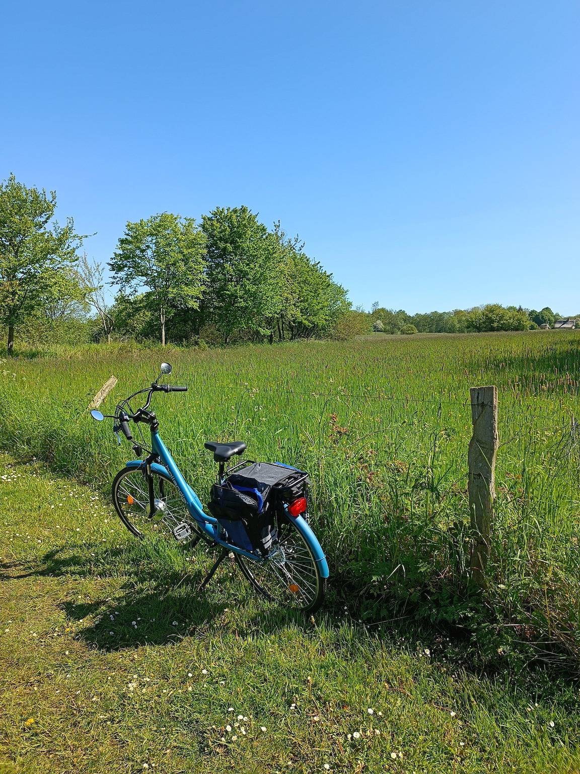 Ganze Wohnung, Ferienwohnung Ostseeclick Damp: 2 E-Bikes, Jugendrad und Fahrradhelme, Strom und Wäsche gratis in Vogelsang-Grünholz, Damp