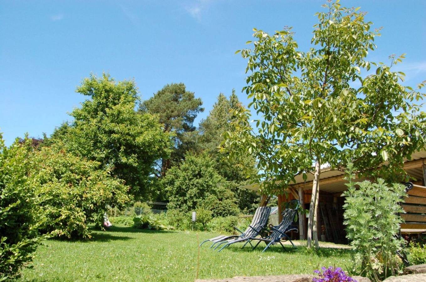 Strohpension oder Ferienwohnung Gerberhaus in Manderscheid, Bernkastel-Kues & Umgebung