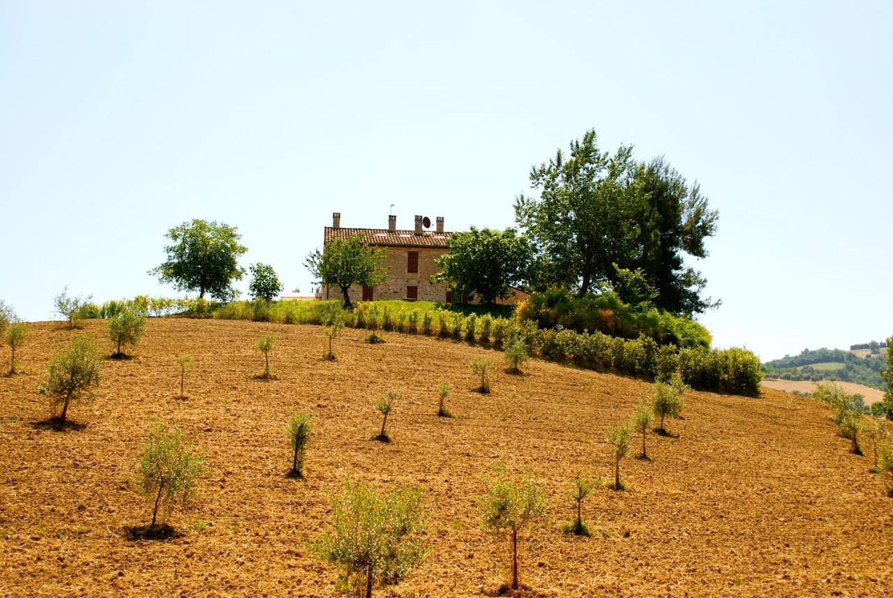 Il Casale di Giovanna in Offida, Ascoli Piceno Provinz
