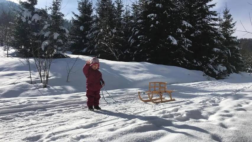 Bauernhof für 5 Personen, mit Terrasse in Bernau am Chiemsee - 3