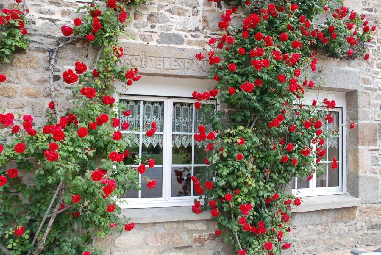 Gîte Ti ar Rozenn in Mont-Dol, Région de Saint-Malo