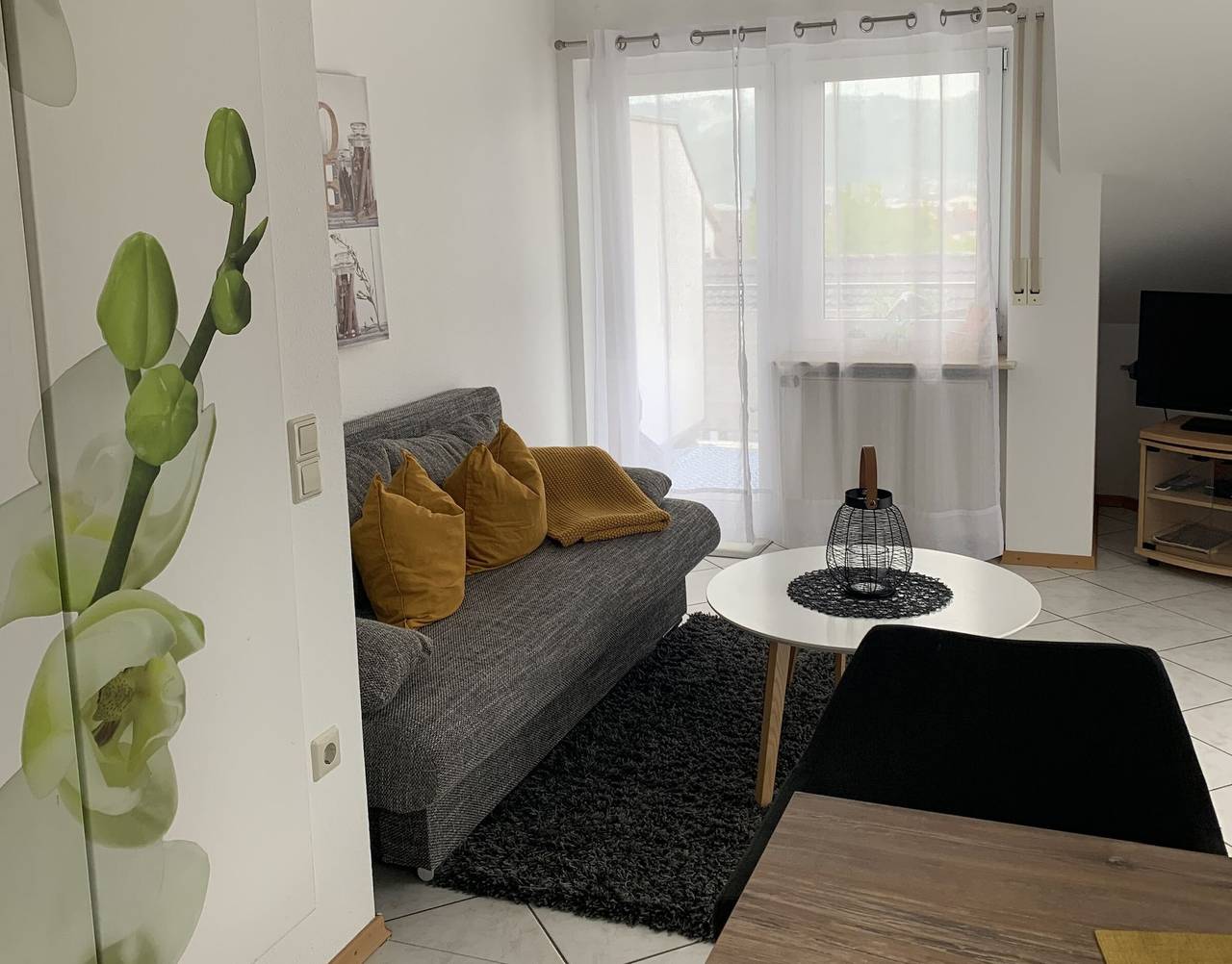 Ganze Wohnung, Große Ferienwohnung mit Seeblick, Balkon und Wi-Fi in Bodman-Ludwigshafen, Landkreis Konstanz