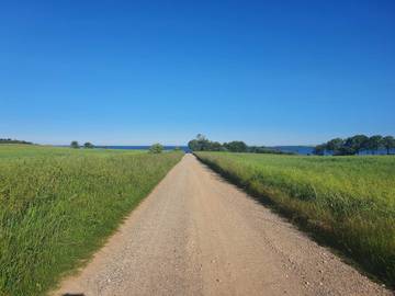 Ferieudlejning til 14 Personer i Fåborg, Lillebælt, Billede 2