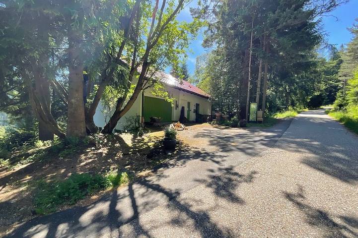 Ganze Wohnung, „Goldregen“  auf 800 Metern mitten im Wald Ruhe finden in Forbach, Nordschwarzwald