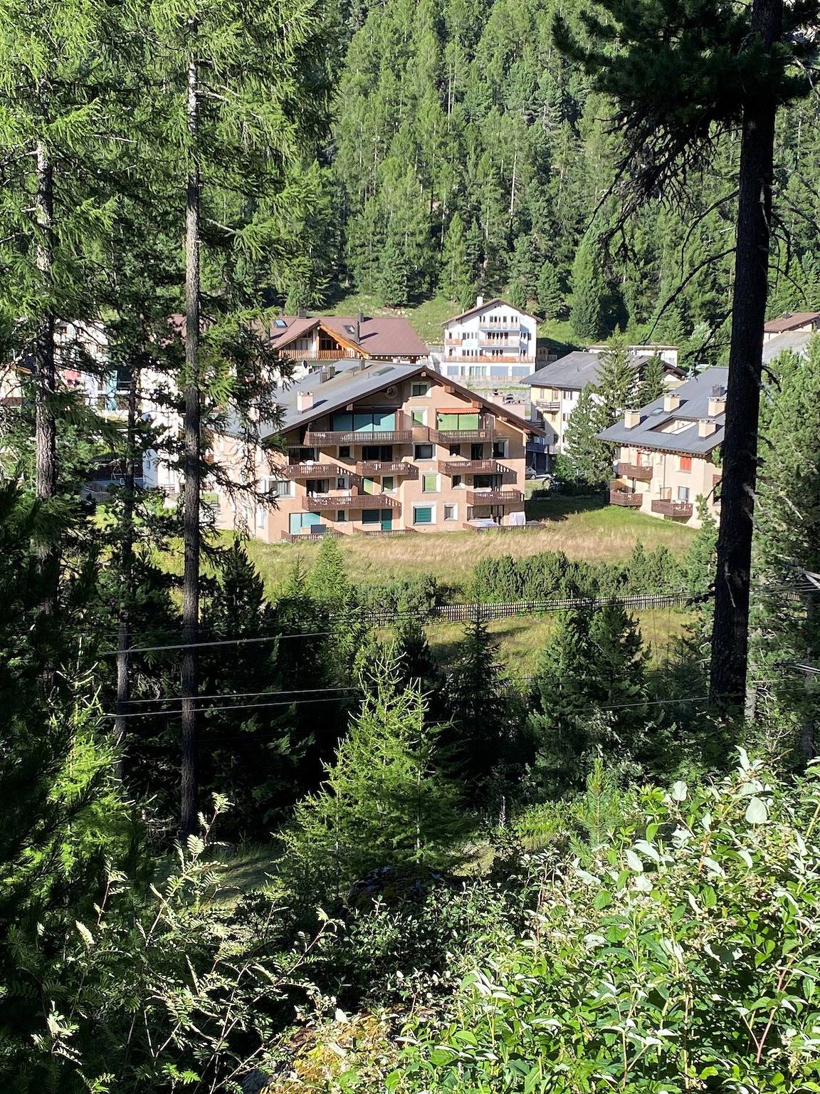 Ganze Ferienwohnung, Wohnung Curtins in Pontresina, Livigno Alpen