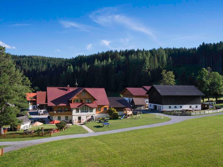 Bauernhof für 4 Personen, mit Balkon und Garten in Ramsau am Dachstein