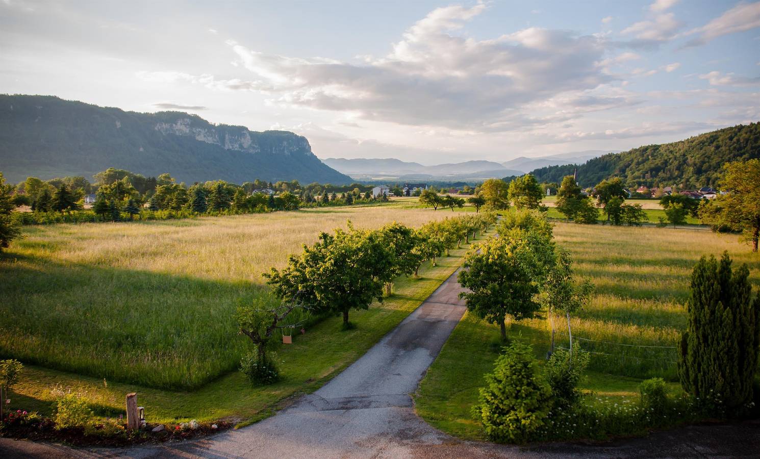 Ganze Ferienwohnung, Ferienwohnung Schneerose in Karawanken und Bachergebirge, Gallizien