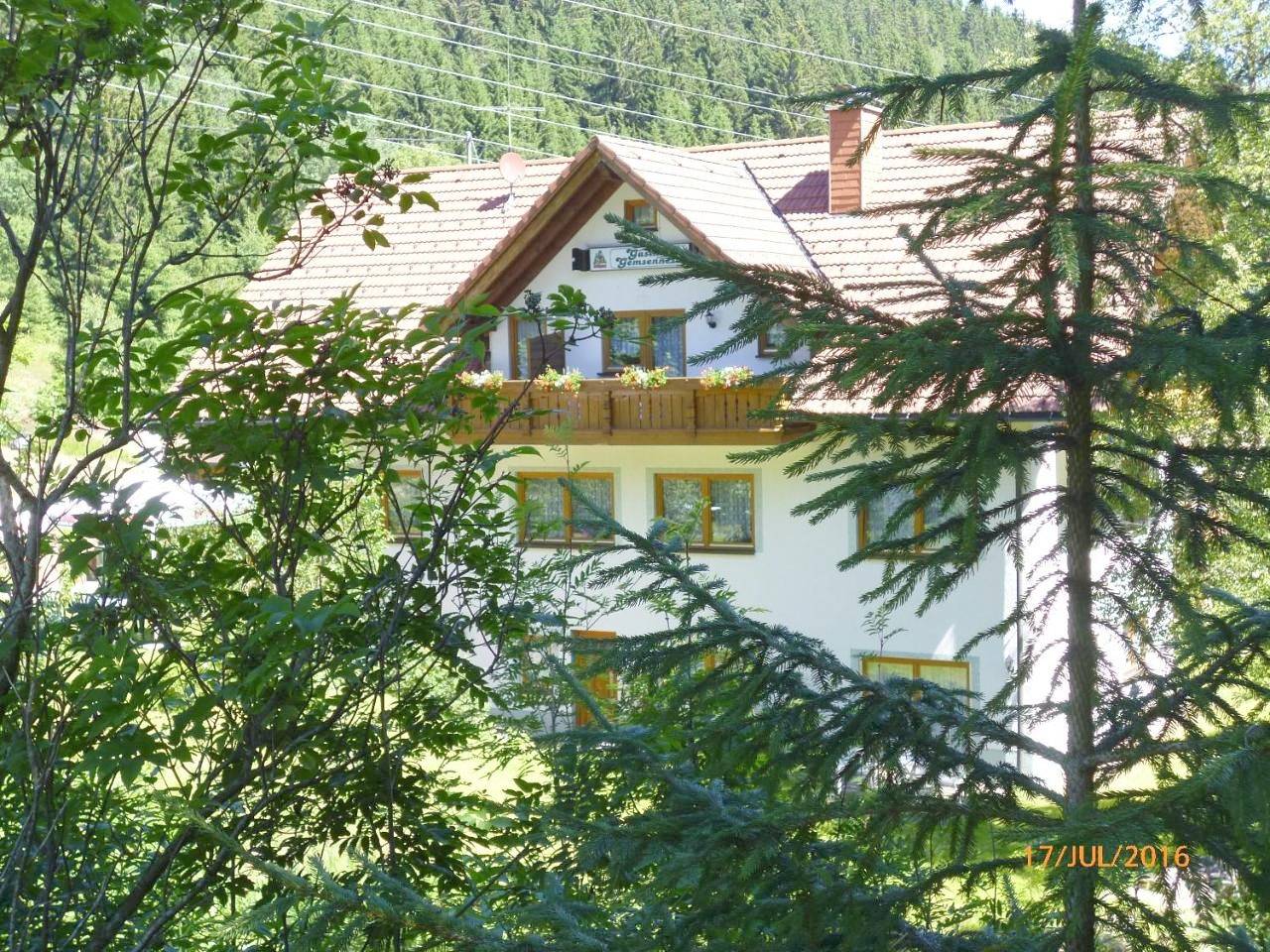 Landgasthaus Gemsennest in Feldberg (Schwarzwald), Feldberg