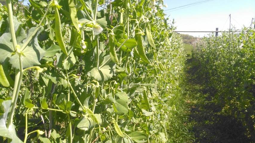 Casa rural para 2 personas, con jardín y vistas en Donostialdea - 4