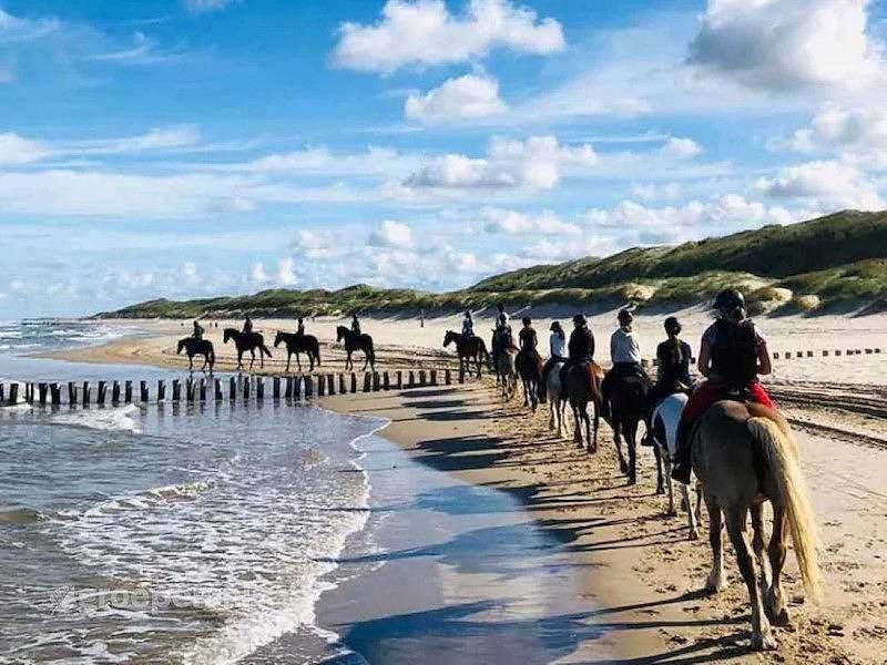 Groepsaccommodatie Schoorl in Schoorl, Noord-Holland - Kust van de Noordzee