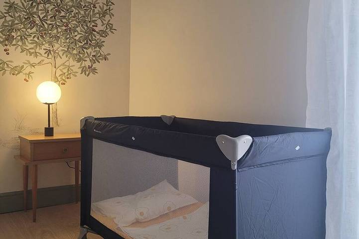 Gîte pour 10 personnes, avec jardin à Solérieux - 4