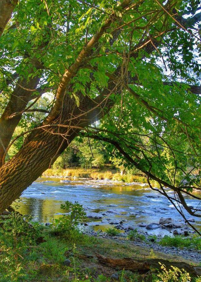 Camping Beaussement Baroudeur in Chauzon, Ardèche