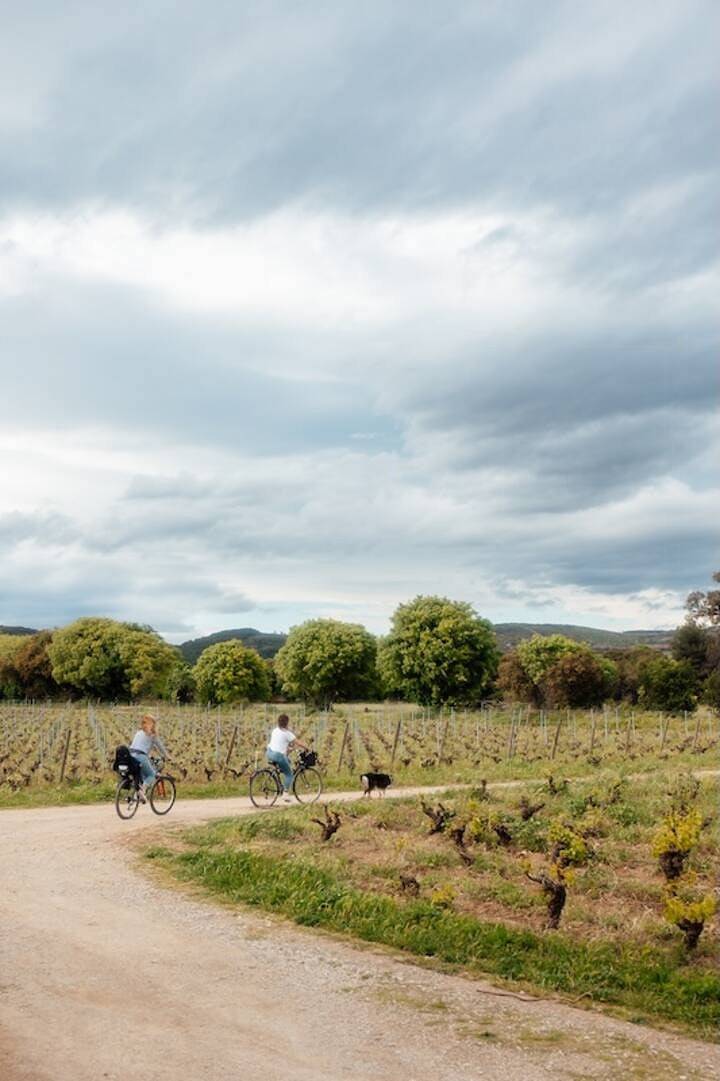 Ganze Wohnung, Charmantes Haus in einem Bio-Weingut in Frontignan, Côte d'Améthyste