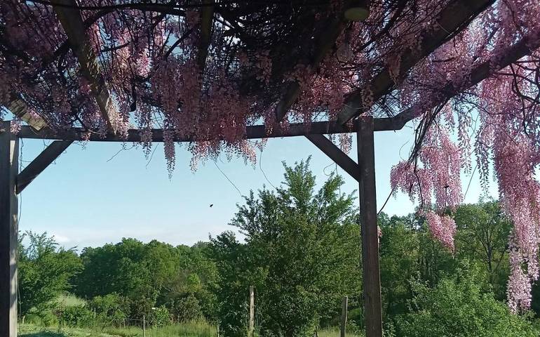 Location de vacances pour 6 personnes, avec terrasse et jardin, animaux acceptés à Carmaux - 2