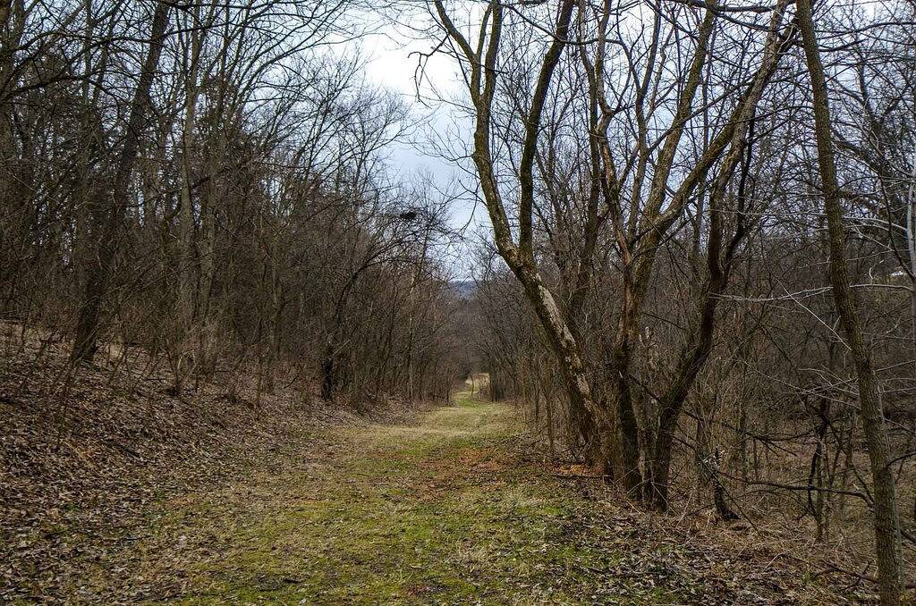 Private Home~Relax at Your Getaway Among the Trees! in Jo Daviess County