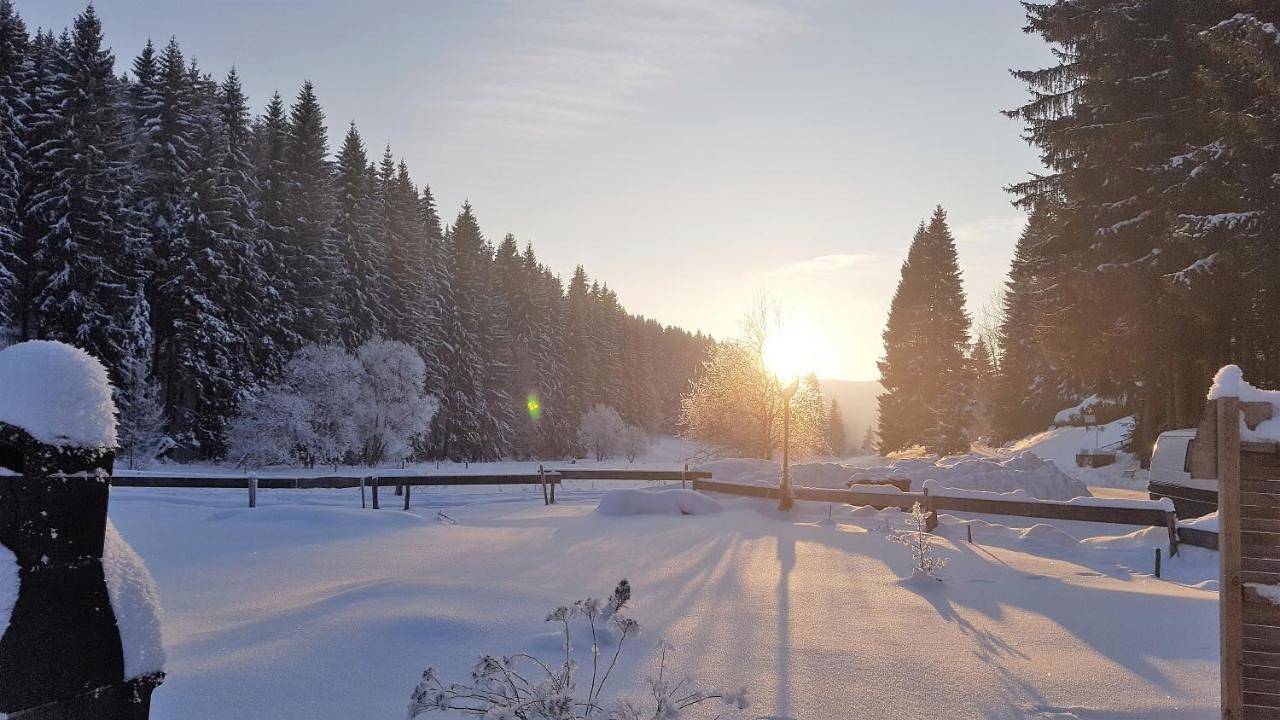 Pension & Gasthof "Am Park" Ug in Stützerbach, Rennsteig