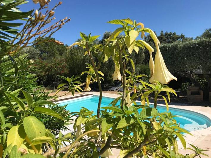 Maison d’hôte pour 3 personnes, avec jardin ainsi que piscine et vue à Sanary-sur-Mer - 3