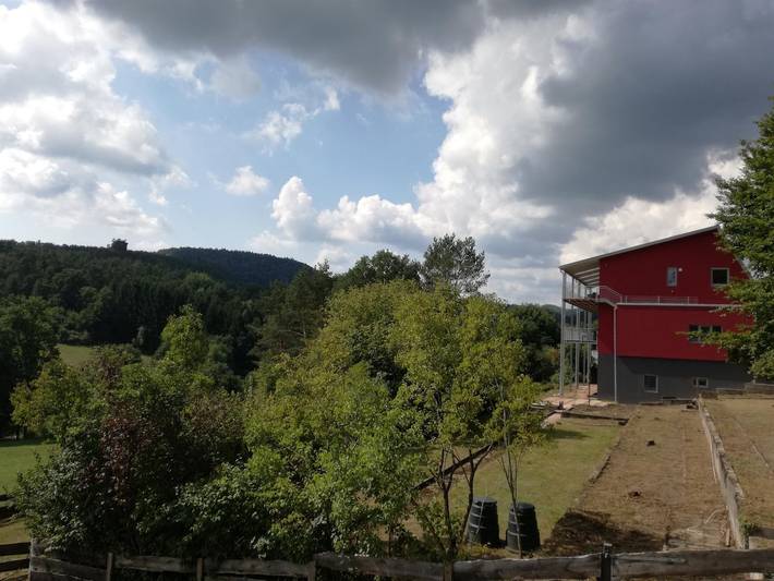 Ferienwohnung für 4 Personen, mit Balkon und Terrasse sowie Garten im Pfälzer Wald - 2
