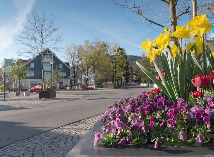 Ferienwohnung für 11 Personen, mit Balkon und Terrasse in Tabarz - 3