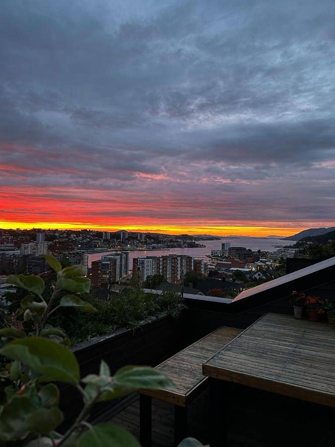 Ferienwohnung für 2 Personen, mit Ausblick und Terrasse, mit Haustier - 1