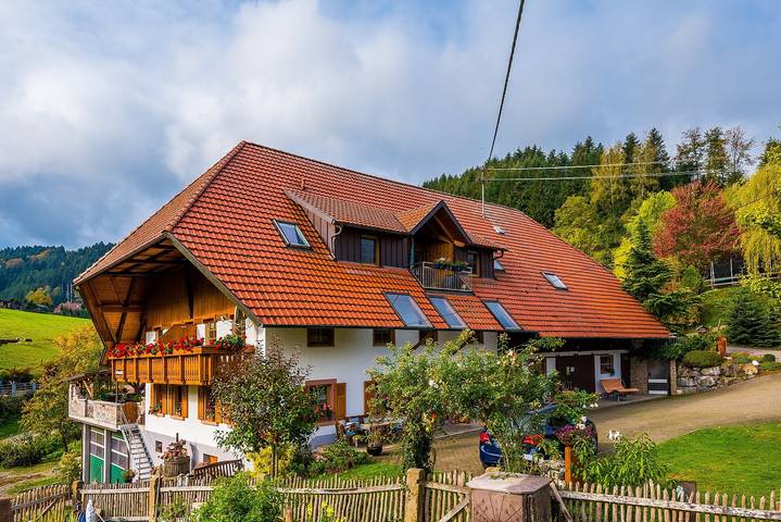 Gîte pour 5 personnes, avec jardin, adapté aux familles à Steinach