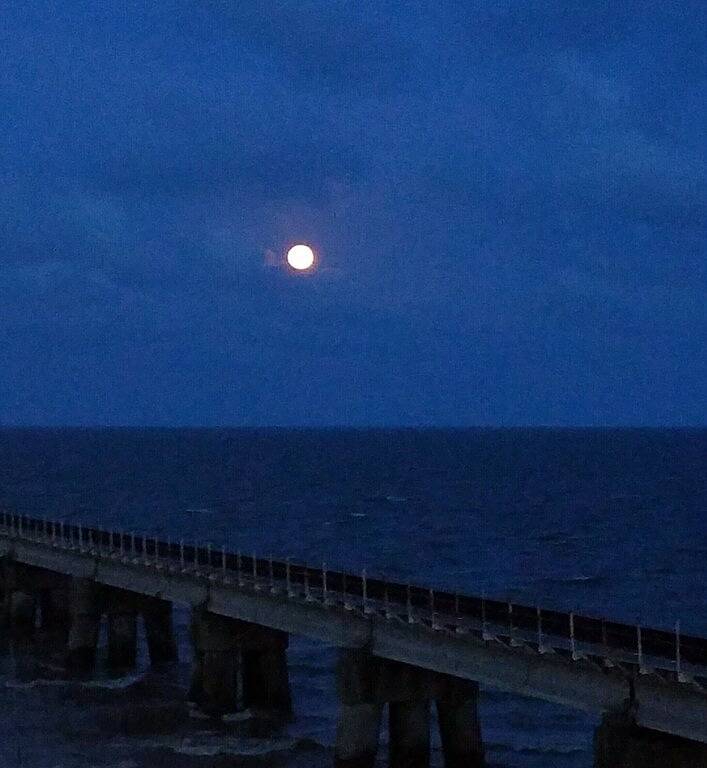 Ganze Wohnung, In der Nähe des wunderschönen Bay Beach in Bay St. Louis, Mississippi Gulf Coast