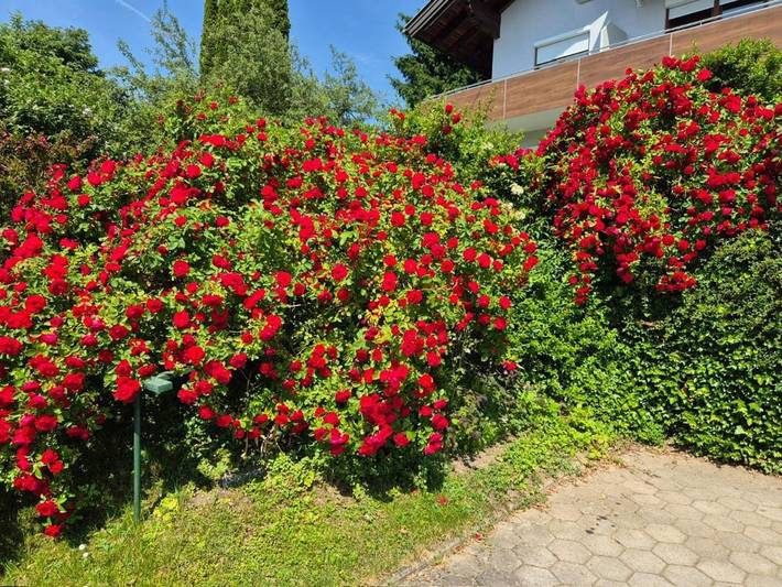BnB für 3 Personen, mit Ausblick und Seeblick sowie Garten in Villach - 2