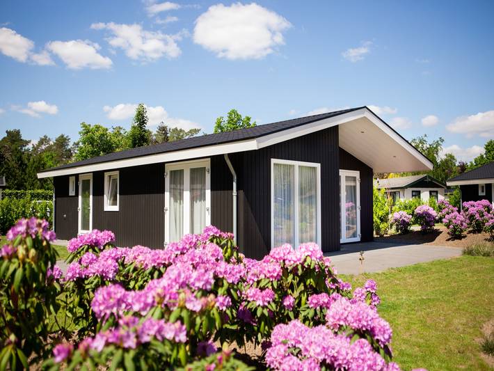 Villa voor 6 personen, met Tuin en Zwembad in Veldhoven
