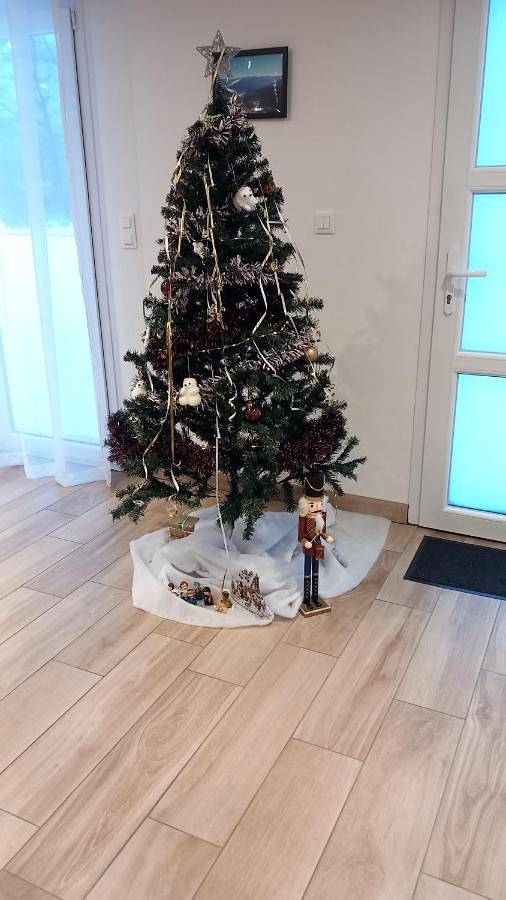 Location de vacances pour 10 personnes, avec terrasse et vue à Champ-le-Duc - 2