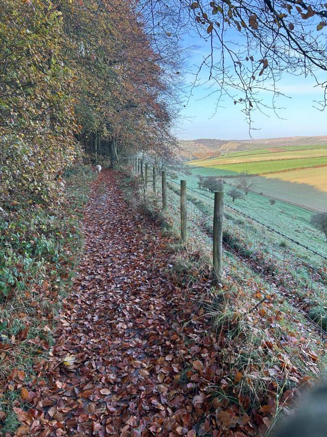 Gîte pour 2 personnes, avec terrasse ainsi que vue et jardin dans Newhaven - 2