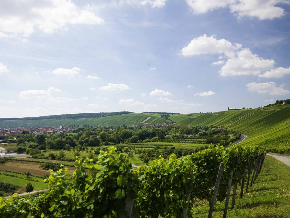 Weingut - Ferienwohnung Rudloff - Nordheimer Vögelein in Nordheim am Main, Región Viticola de Franconia