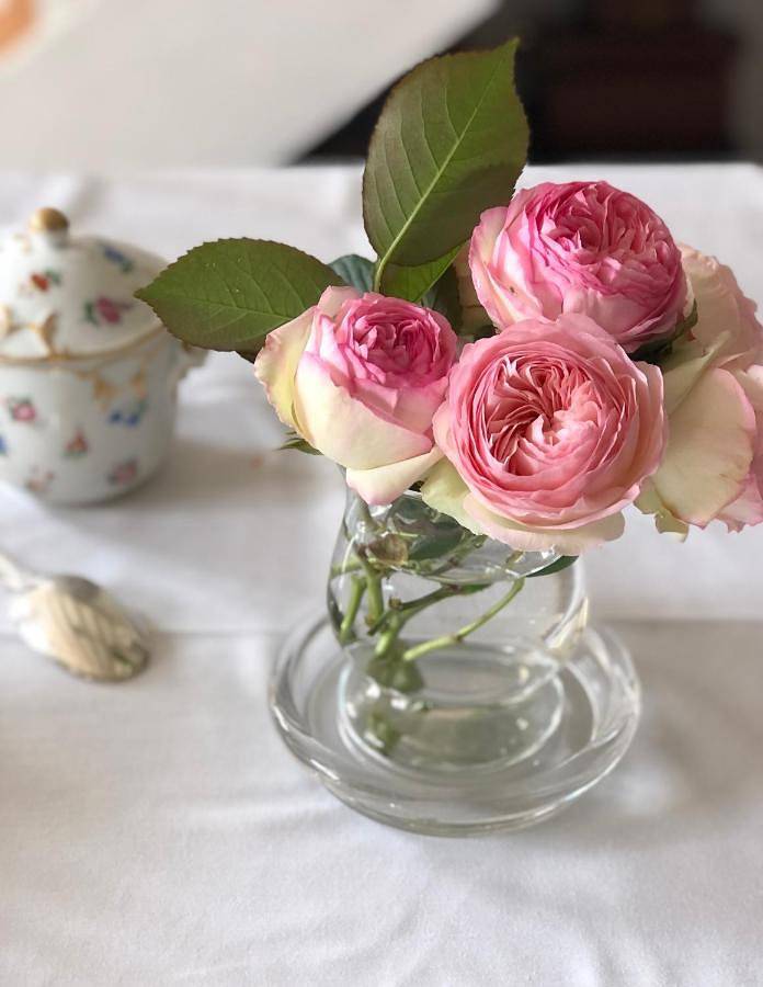 Location de vacances pour 5 personnes, avec jardin à La Croix-en-Touraine - 3
