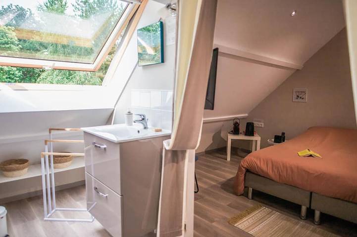 Gîte pour 14 personnes, avec jardin et jacuzzi à Dollon - 4